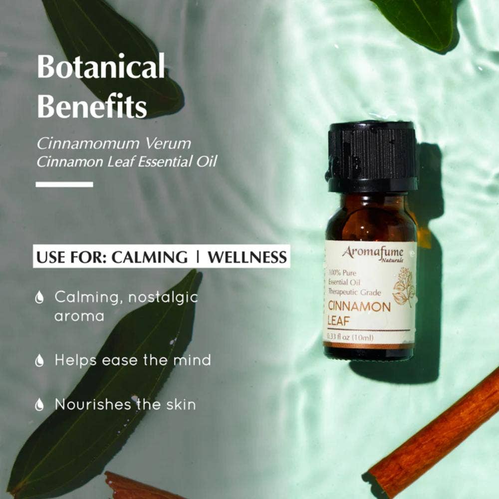 Cinnamon Bark Pure Essential Oil 10ml - PRE ORDER September 2026 Arrival - The Christmas Shoppe